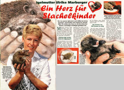 Heim und Welt Nr.44, 22. Oktober 2003